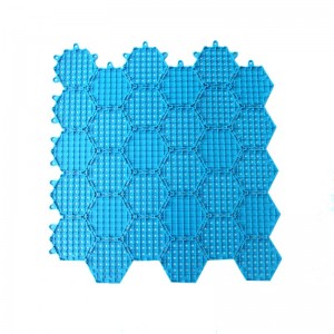 綠茵傳奇 （K-9）